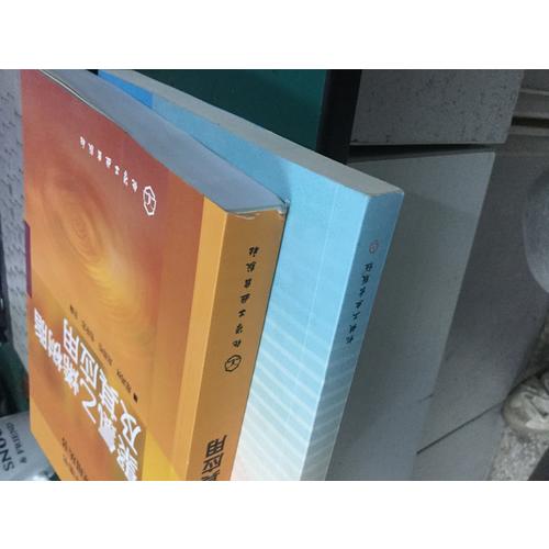 合成樹脂及應用叢書：聚氯乙烯樹脂及其應用