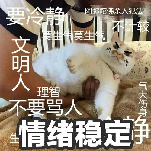 遙感數字圖像處理與分析：ENVI 5.x實驗教程