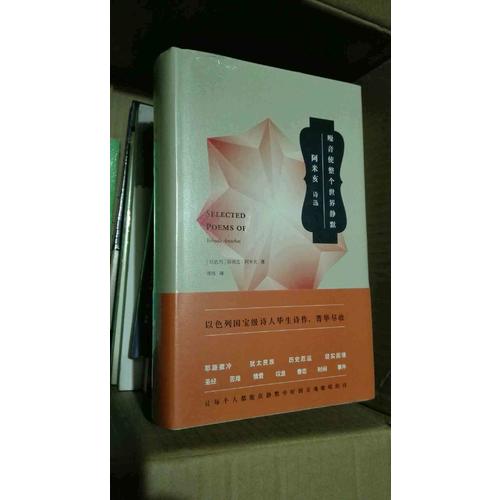 噪音使整個(gè)世界靜默：耶胡達(dá)·阿米亥詩選