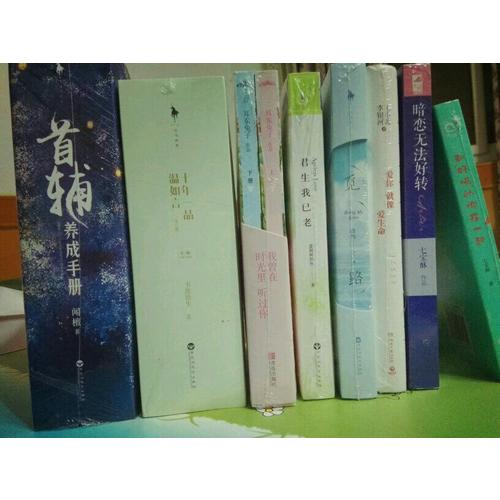 首輔養(yǎng)成手冊（全三冊）