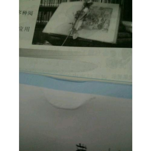 竹馬鑲青梅
