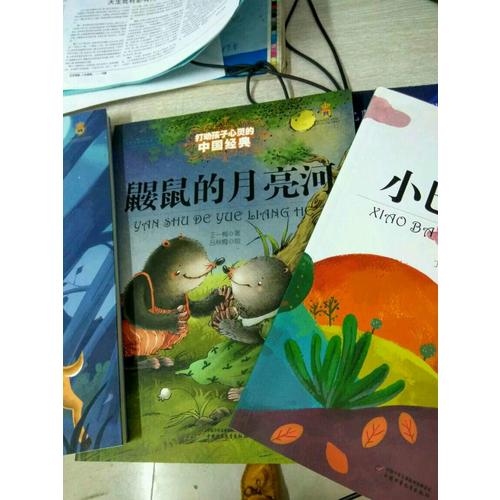 鼴鼠的月亮河（美繪版）