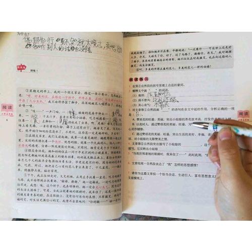 小學(xué)語(yǔ)文閱讀訓(xùn)練80篇五年級(jí)（白金版）