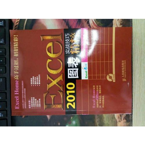 Excel 2010圖表實戰技巧精粹