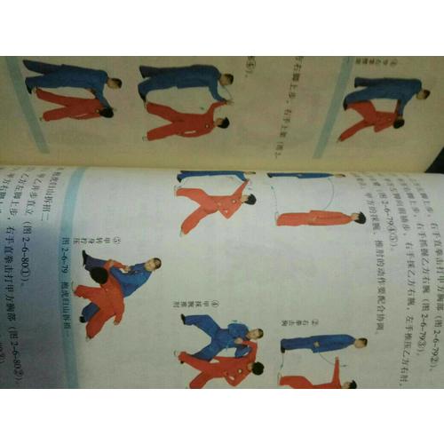 楊式太極拳：中國武術段位制系列教程