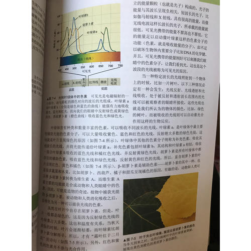 生物學與生活（原書第10版）