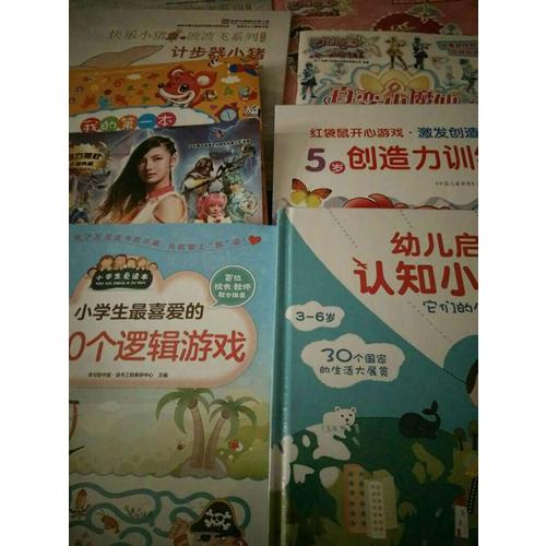 小學生最喜愛的300個邏輯游戲