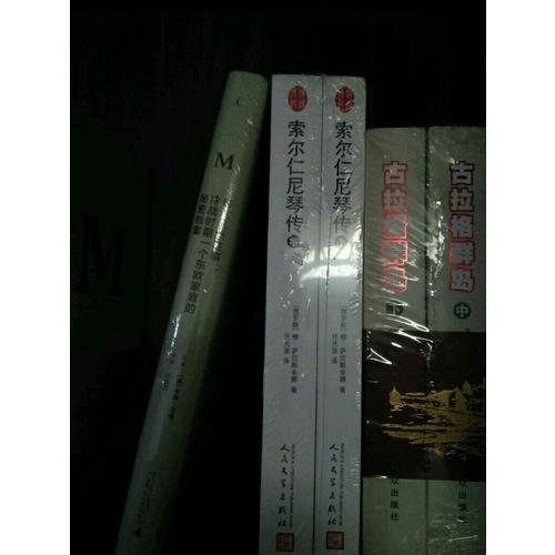 漢譯傳記叢書：索爾仁尼琴傳