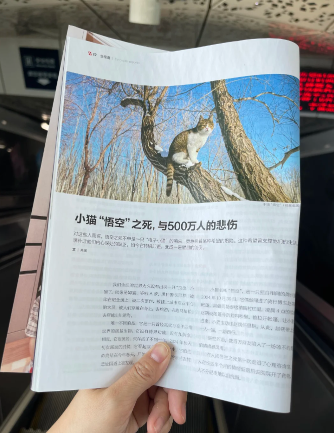 南風窗