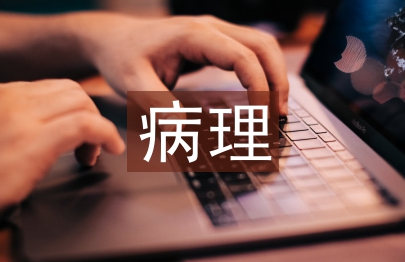 病理醫生工作總結