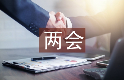 兩會論文