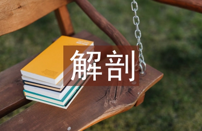 解剖論文