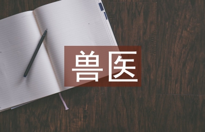 獸醫個人工作計劃