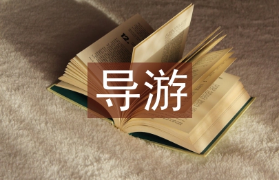 導(dǎo)游年度總結(jié)