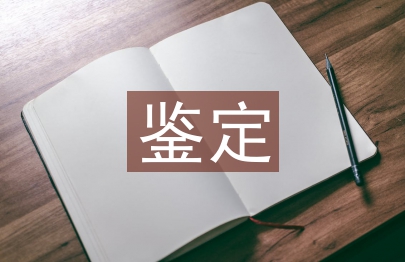 文書(shū)工作鑒定