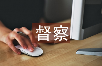 中隊督察工作計劃