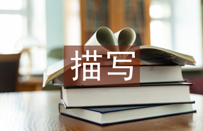 描寫教學(xué)論文