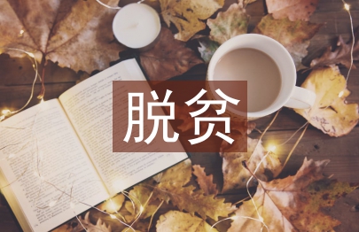 脫貧攻堅幫扶記錄