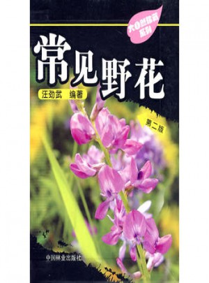 大自然珍藏系列-常見(jiàn)野花