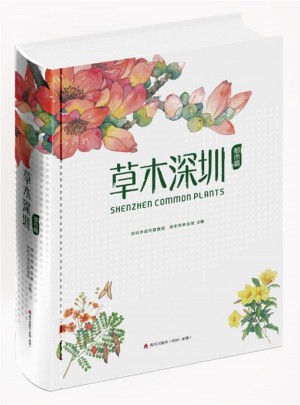 草木深圳(都市篇)