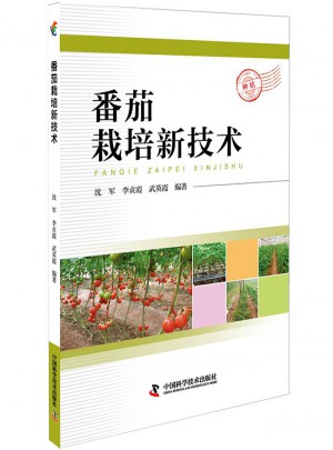 番茄栽培新技術