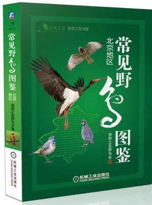 常見野鳥圖鑒（北京地區）