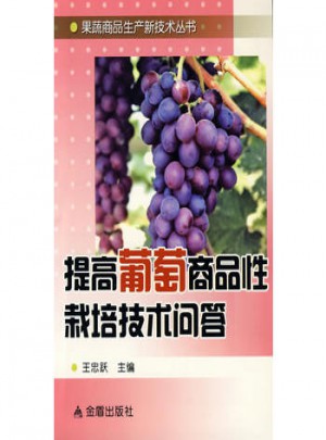 提高葡萄商品性栽培技術(shù)問(wèn)答