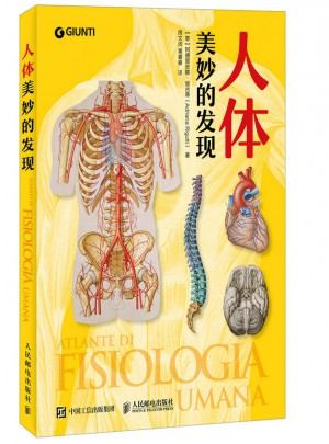 人體：美妙的發現