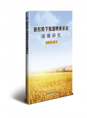 新形勢下我國糧食安全保障研究
