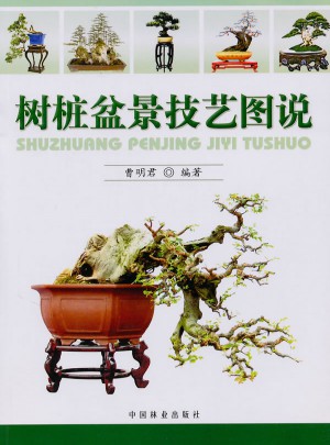 樹(shù)樁盆景技藝圖說(shuō)