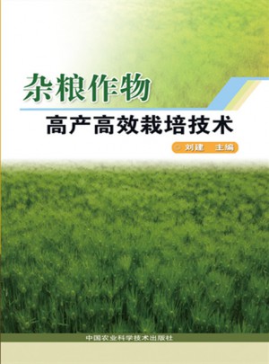 雜糧作物高產(chǎn)高效栽培技術(shù)