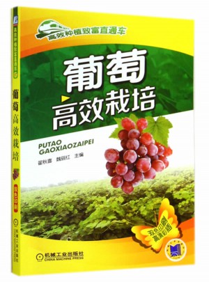 葡萄高效栽培