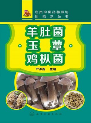 名貴珍稀菇菌栽培新技術叢書：羊肚菌·玉蕈·雞樅菌