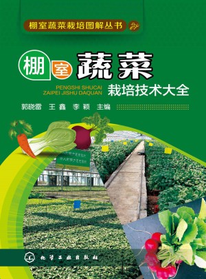 棚室蔬菜栽培技術大全