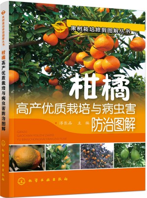 柑橘高產品質栽培與病蟲害防治圖解