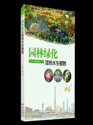 園林綠化濕地水生植物