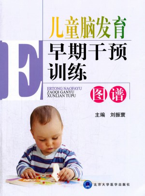 兒童腦發育早期干預訓練圖譜