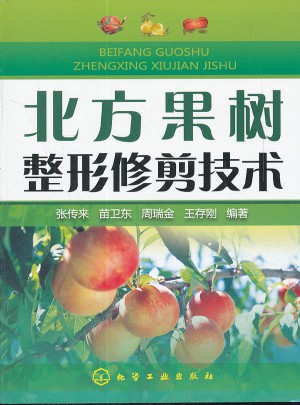 北方果樹整形修剪技術
