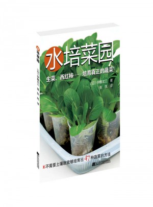 水培菜園