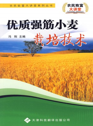 品質(zhì)強筋小麥栽培技術(shù)