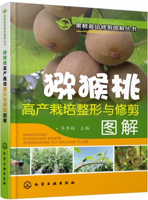 獼猴桃高產(chǎn)栽培整形與修剪圖解