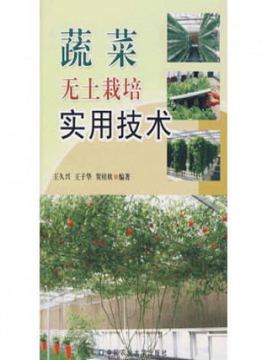 蔬菜無(wú)土栽培實(shí)用技術(shù)