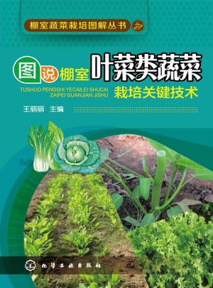 圖說(shuō)棚室葉菜類蔬菜栽培關(guān)鍵技術(shù)