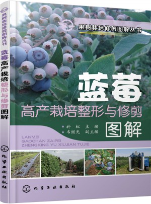 藍(lán)莓高產(chǎn)栽培整形與修剪圖解