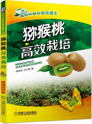 獼猴桃高效栽培