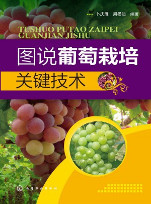 圖說葡萄栽培關鍵技術