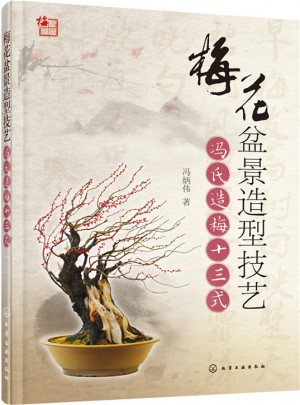梅花盆景造型技藝:馮氏造梅十三式