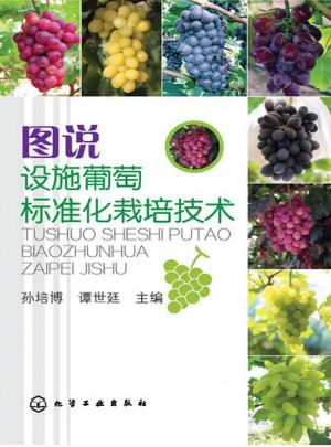 圖說設施葡萄標準化栽培技術