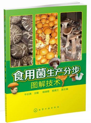食用菌生產分步圖解技術