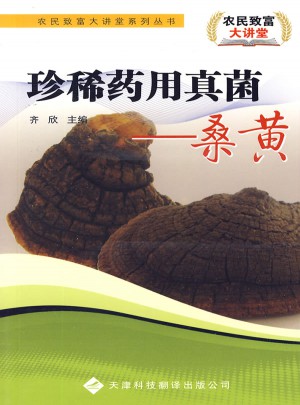 珍稀藥用真菌：桑黃